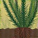 Group removing invasive plants from a natural area