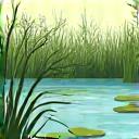 Volunteers working in a wetland area